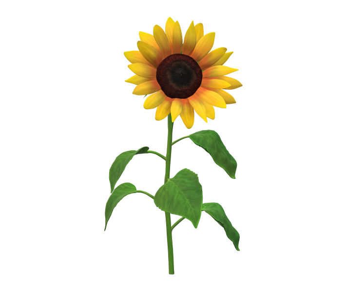 https://usercontent1.hubstatic.com/15505898.png