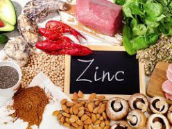 Why is Zinc So Important to the Body?