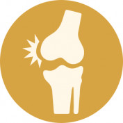 suckhoexuongkhop profile image