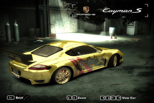 Gold Porche Cayman S racing car, back view.