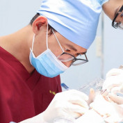 bacsikhai profile image