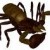FALSE SCORPION:  Ugly but completely harmless.  Up to 8 inches long.  May be able to nip with claws.  Non venomous.