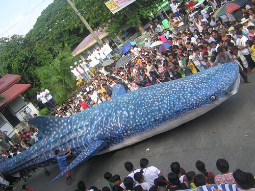The Butanding Festival! A "butandng" or a whale shark float is one of the centerpiece of the festival.