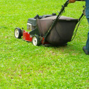 landscapingfremont profile image