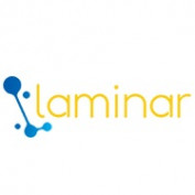 Laminar Consulting profile image