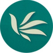 mteastmarkcity profile image