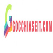 gocchiaseit profile image