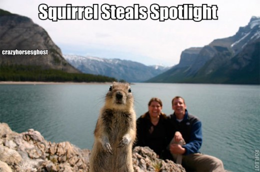 Don't try to take a photo when this fun loving squirrel is around because he loves to have his photo made.
