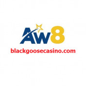 blackgoosecasino profile image