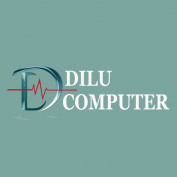 dilucomputer profile image