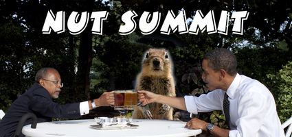 Crasher Squirrel Attends The Nut Summit Yesterday