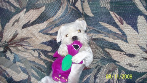 Our little baby with his new Barney. 