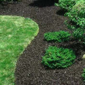 LawnWorx profile image
