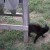 This black cat says it all. This black cat says it all.