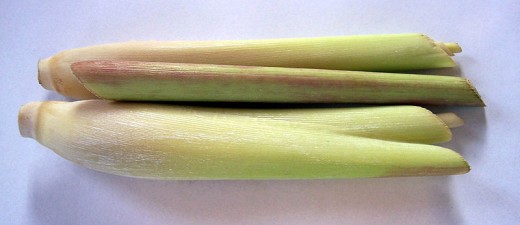 Prepared lemongrass. This image is in the public domain.