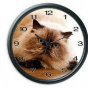 clockinsertsmechanisms profile image