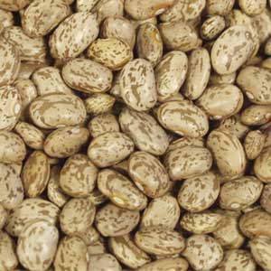 You can wash and look your Pinto Beans and cover with water overnight to greatly reduce your cooking time. 