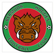 bermudahoggesfc profile image
