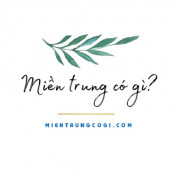 mientrungcogi profile image