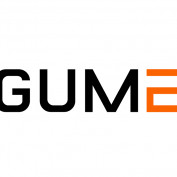 gumeevn profile image
