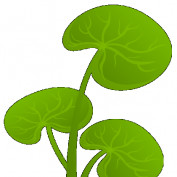 charlesevansca profile image