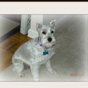 brian653 profile image