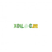 xoilactvxyz profile image