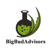 bigbudadvisors profile image