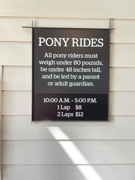 I was very surprised at the price of the pony ride. I thought it was incredibly affordable. I feel like it would be a great activity for a little kid and a nice relaxing day for mom and dad.