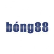 nhacaibong profile image
