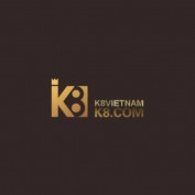 k8vietnamnet profile image