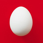 Dev P profile image