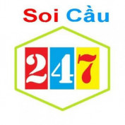 soi-cau-rong-bach-kim profile image
