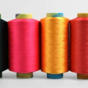 poyfdy profile image