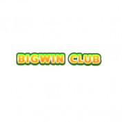 bigwinclubsite profile image