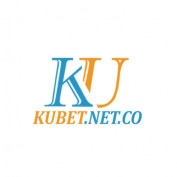 kubetnetco profile image