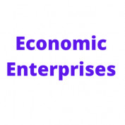 Economic Enterprises profile image