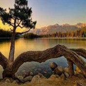 daitips profile image