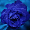 Hazelmartinez11 profile image