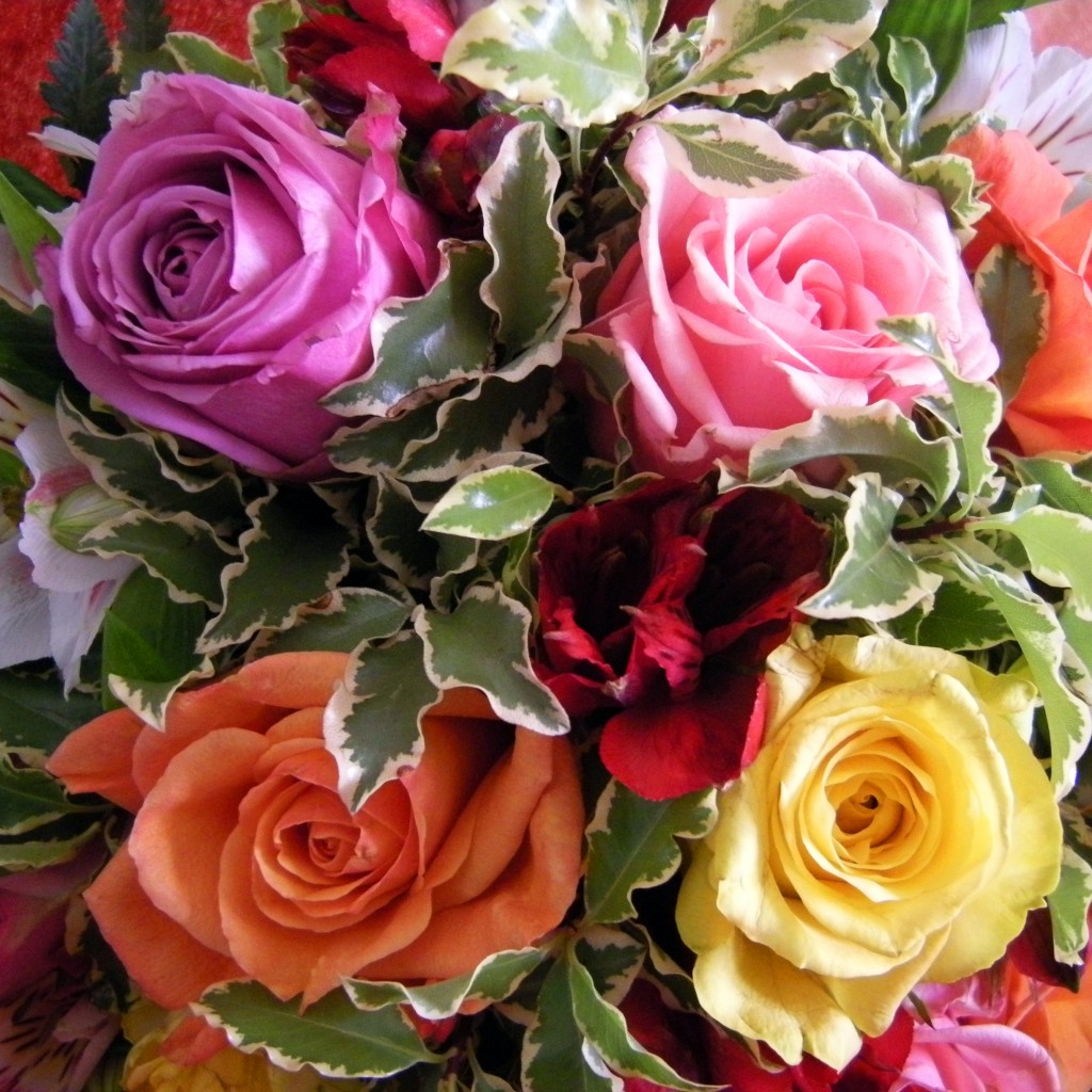 Rose Colors and Their Meanings hubpages