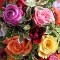 Rose Colors and Their Meanings