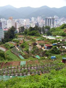The old and new Korea together on Geoga Island, South Korea.