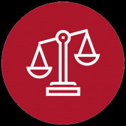 tongdaiphapluat profile image