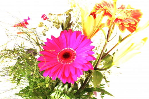 Flowers
