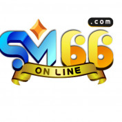 sm66vietnam profile image