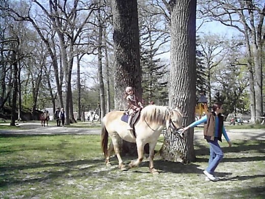 At the Park in Valençay