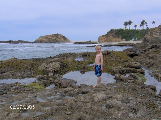 Making memories by some tide pools near where I grew up as a child.  Taking my own kids back there was very fun and meaningful to me! 