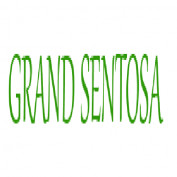 grandsentosavn profile image