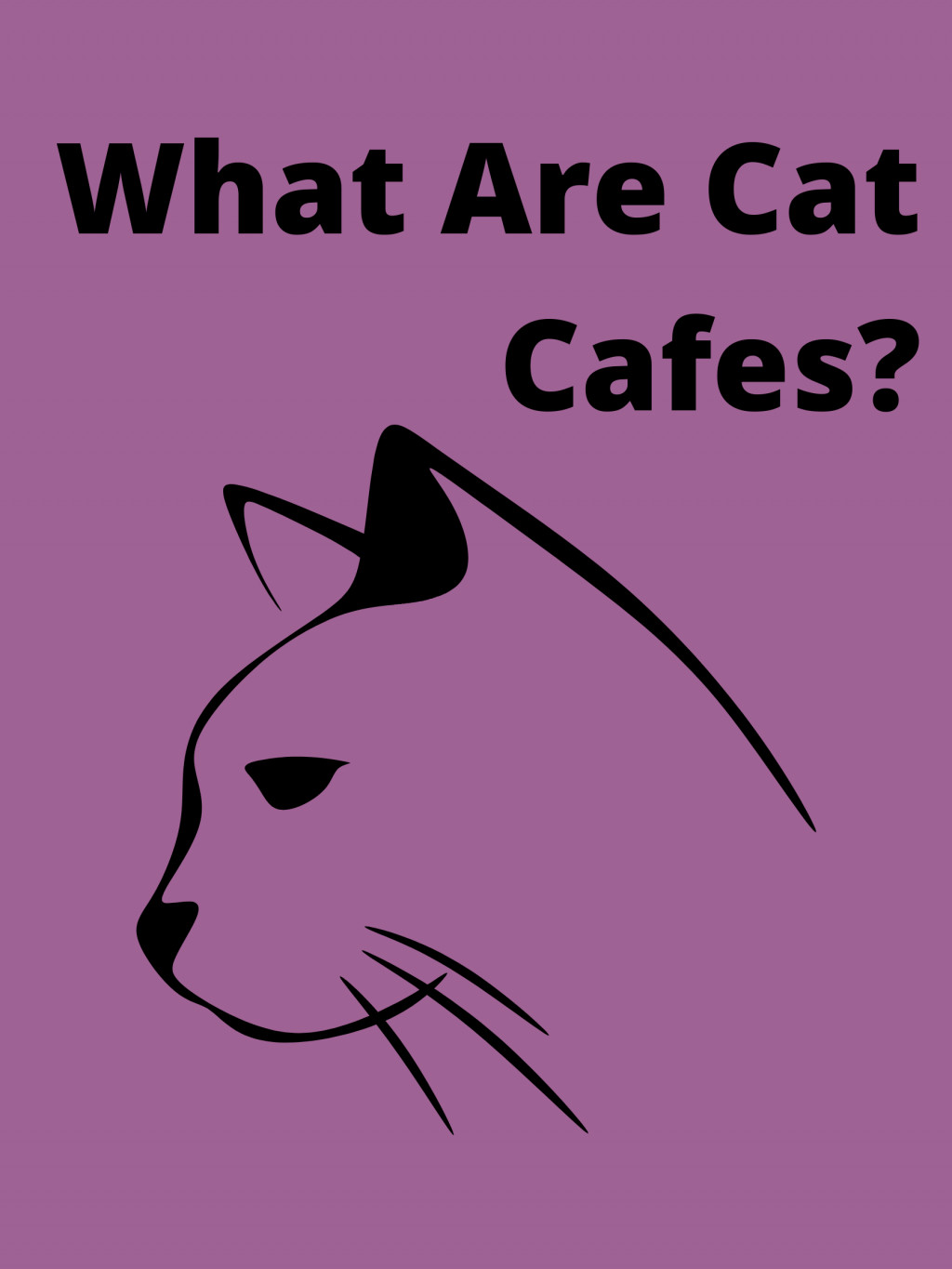 What are Cat Cafes? HubPages