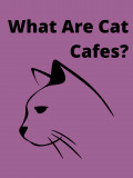 What are Cat Cafes?